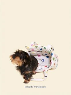 The Little Beast Mini Carrier - Damien 14 The Little Beast Mini Carrier - Damien -Pet Shop evermark factory 25 car mini plk rainbow os dog carrier 1173800334