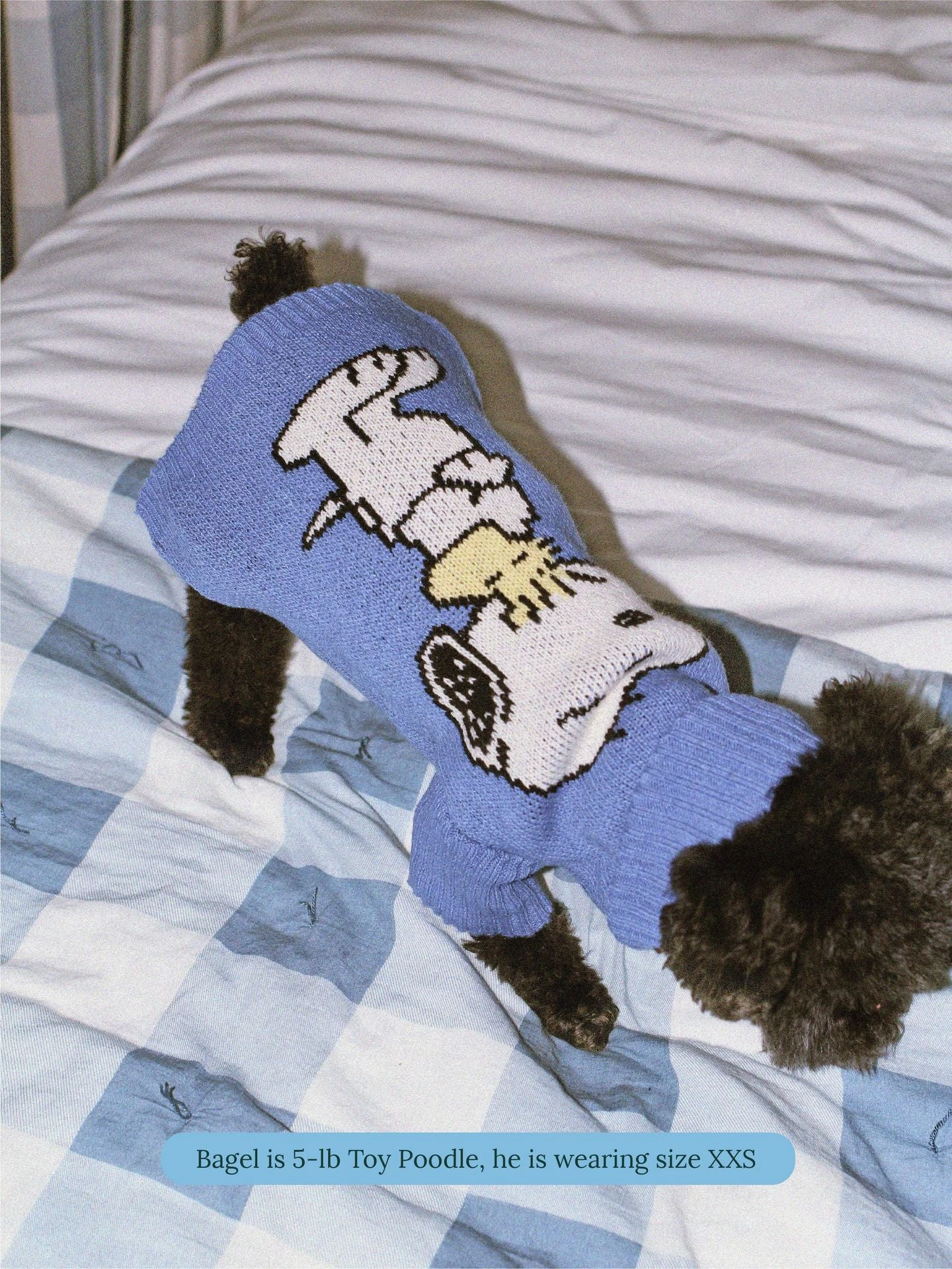 A Snoopy Sweater - PEANUTS 7 A Snoopy Sweater - PEANUTS - Image 5