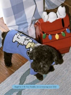 A Snoopy Sweater - PEANUTS 14 A Snoopy Sweater - PEANUTS -Pet Shop little beast a snoopy sweater dog sweater 59676530376990