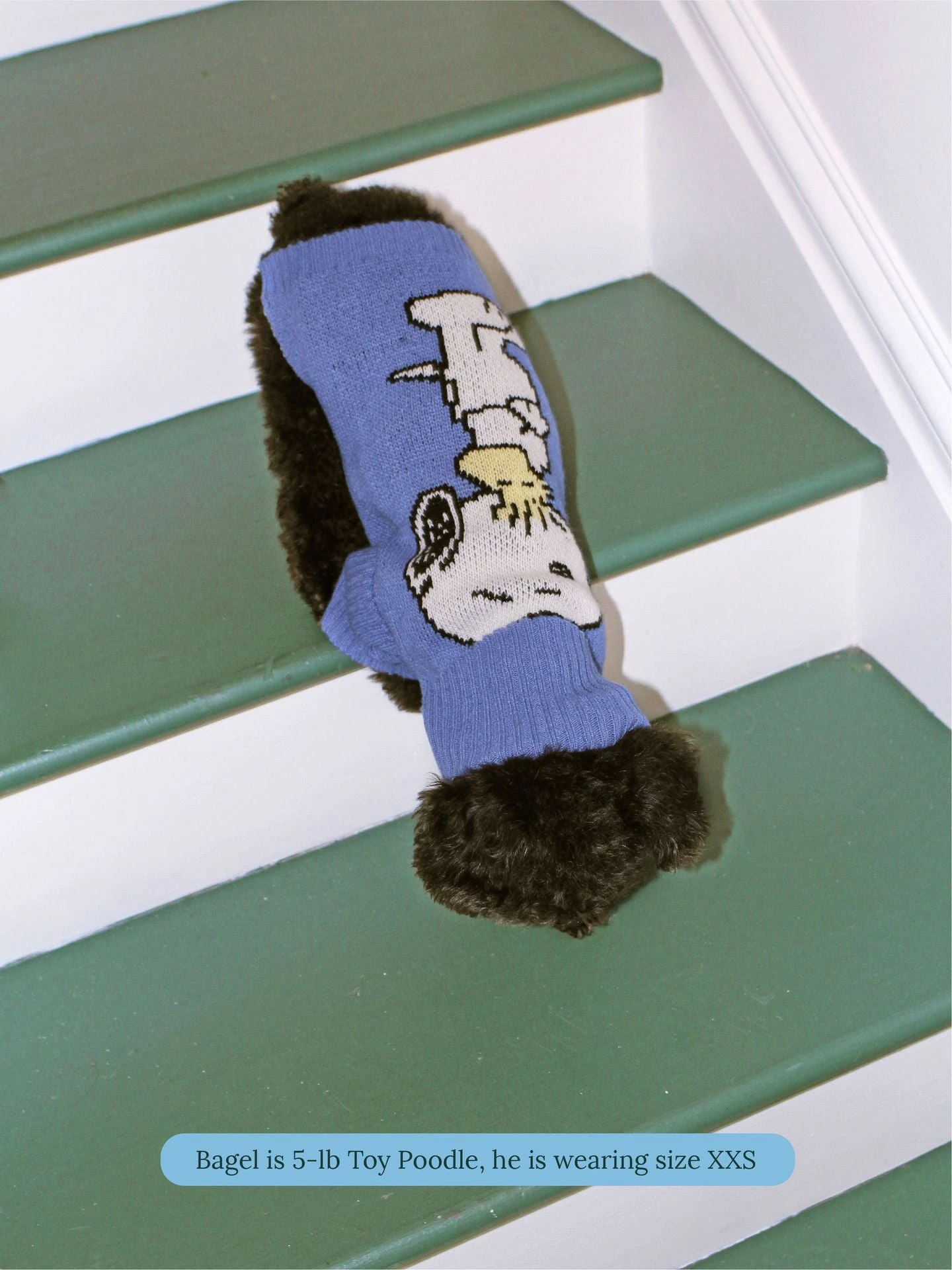 A Snoopy Sweater - PEANUTS 9 A Snoopy Sweater - PEANUTS - Image 7