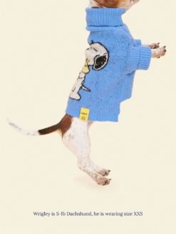 A Snoopy Sweater - PEANUTS 11 A Snoopy Sweater - PEANUTS -Pet Shop little beast a snoopy sweater peanuts dog sweater 1133014299
