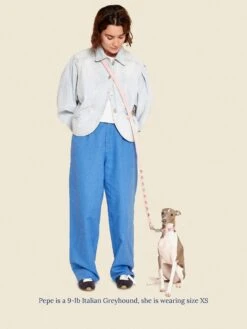 Audrey Collar 🎀 - Ian Charms X Little Beast -Pet Shop little beast audrey collar ian charms x little beast dog collar 46641491312926