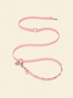 Audrey Leash 🎀 - Ian Charms X Little Beast