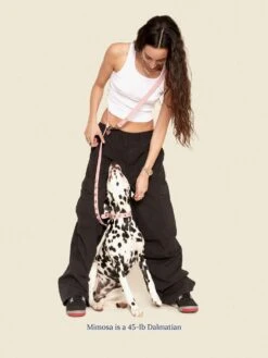 Audrey Leash 🎀 - Ian Charms X Little Beast -Pet Shop little beast audrey leash ian charms x little beast dog leash 46641558323486