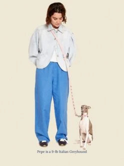 Audrey Leash 🎀 - Ian Charms X Little Beast -Pet Shop little beast audrey leash ian charms x little beast dog leash 46641565270302