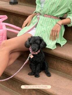 Audrey Leash 🎀 - Ian Charms X Little Beast -Pet Shop little beast audrey leash ian charms x little beast dog leash 47122530337054