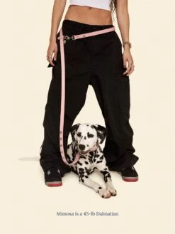 Audrey Leash 🎀 - Ian Charms X Little Beast -Pet Shop little beast audrey leash ian charms x little beast dog leash 47122530369822