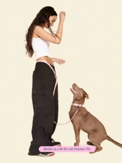 Audrey Leash 🎀 - Ian Charms X Little Beast -Pet Shop little beast audrey leash ian charms x little beast dog leash 47122530402590