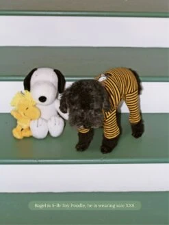 Charlie Brown And Snoopy Onesie - PEANUTS -Pet Shop little beast charlie brown and snoopy onesie dog stripe onesie 59676545679646