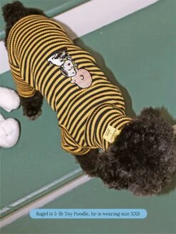 Charlie Brown And Snoopy Onesie - PEANUTS -Pet Shop little beast charlie brown and snoopy onesie dog stripe onesie 59676547449118