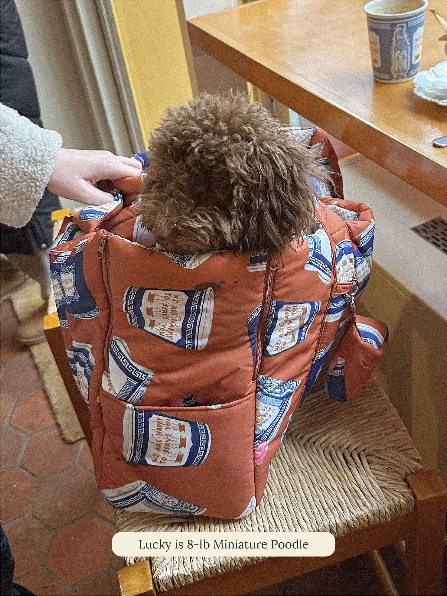 Coffee Cup Puffer Carrier - Rachel Antonoff 8 Coffee Cup Puffer Carrier - Rachel Antonoff - Image 6