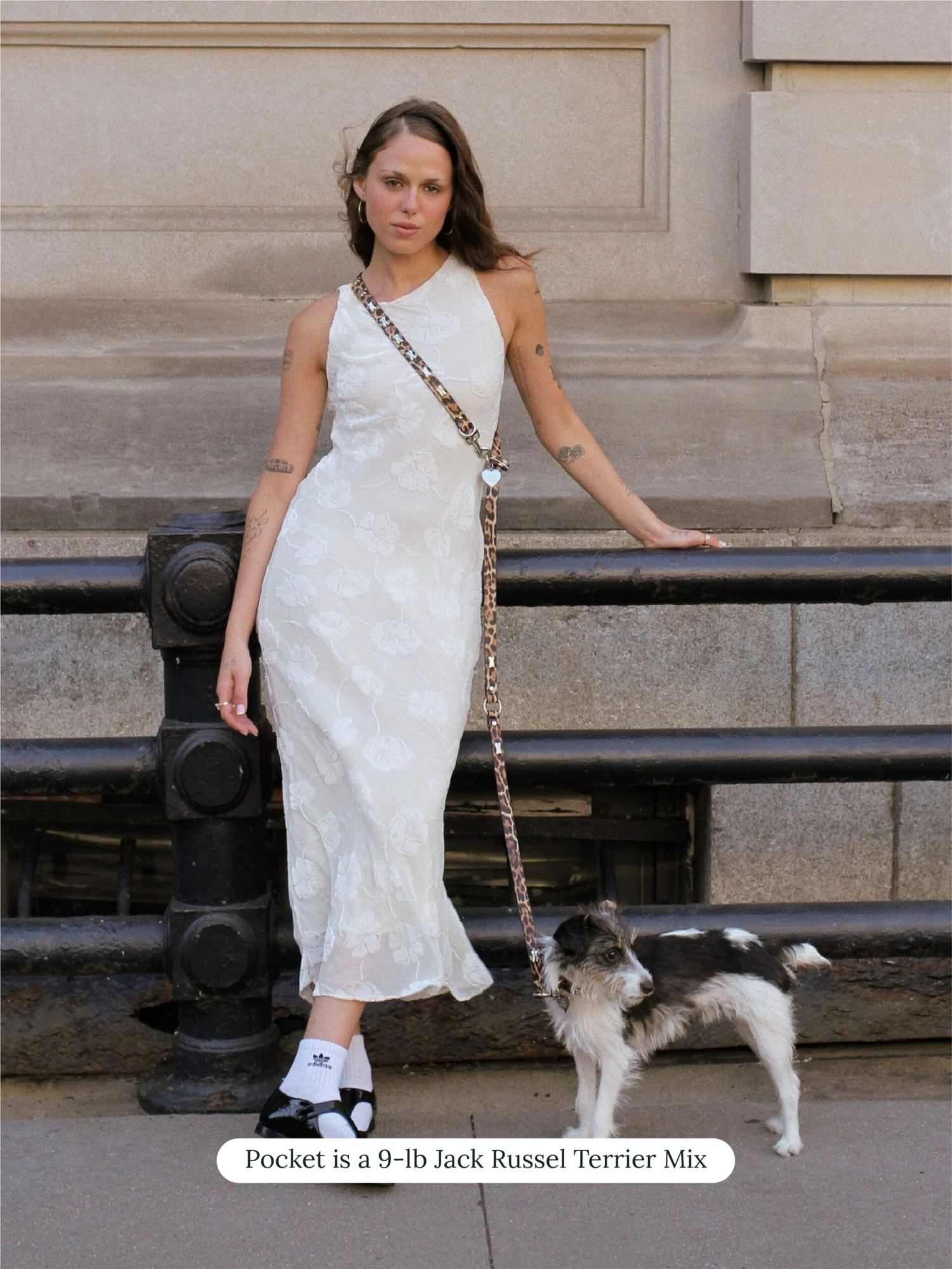 Cougar Leash 🦴- Ian Charms 3 Cougar Leash 🦴- Ian Charms - Image 2