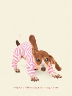 Hug Me Onesie -Pet Shop little beast hug me onesie dog onesie 1125624158
