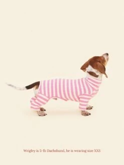Hug Me Onesie -Pet Shop little beast hug me onesie dog onesie 1133014292