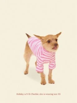 Pet Shop -Pet Shop little beast hug me shirt dog shirt 1125624126