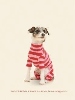 Kiss Me Onesie -Pet Shop little beast kiss me onesie dog onesie 1133014294