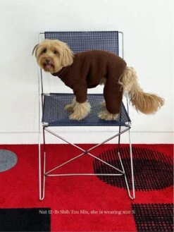 Magic Brownie Onesie -Pet Shop little beast magic brownie onesie dog onesie 43366622429470