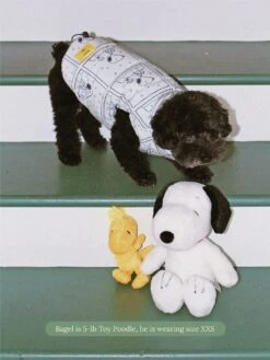 Peanuts Comic Strip Puffer Jacket - PEANUTS -Pet Shop little beast peanuts comic strip puffer jacket dog parka 59676517400862