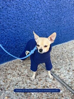 Royal Fleece Onesie 11 Royal Fleece Onesie -Pet Shop little beast royal fleece onesie dog onesie 43406753464606