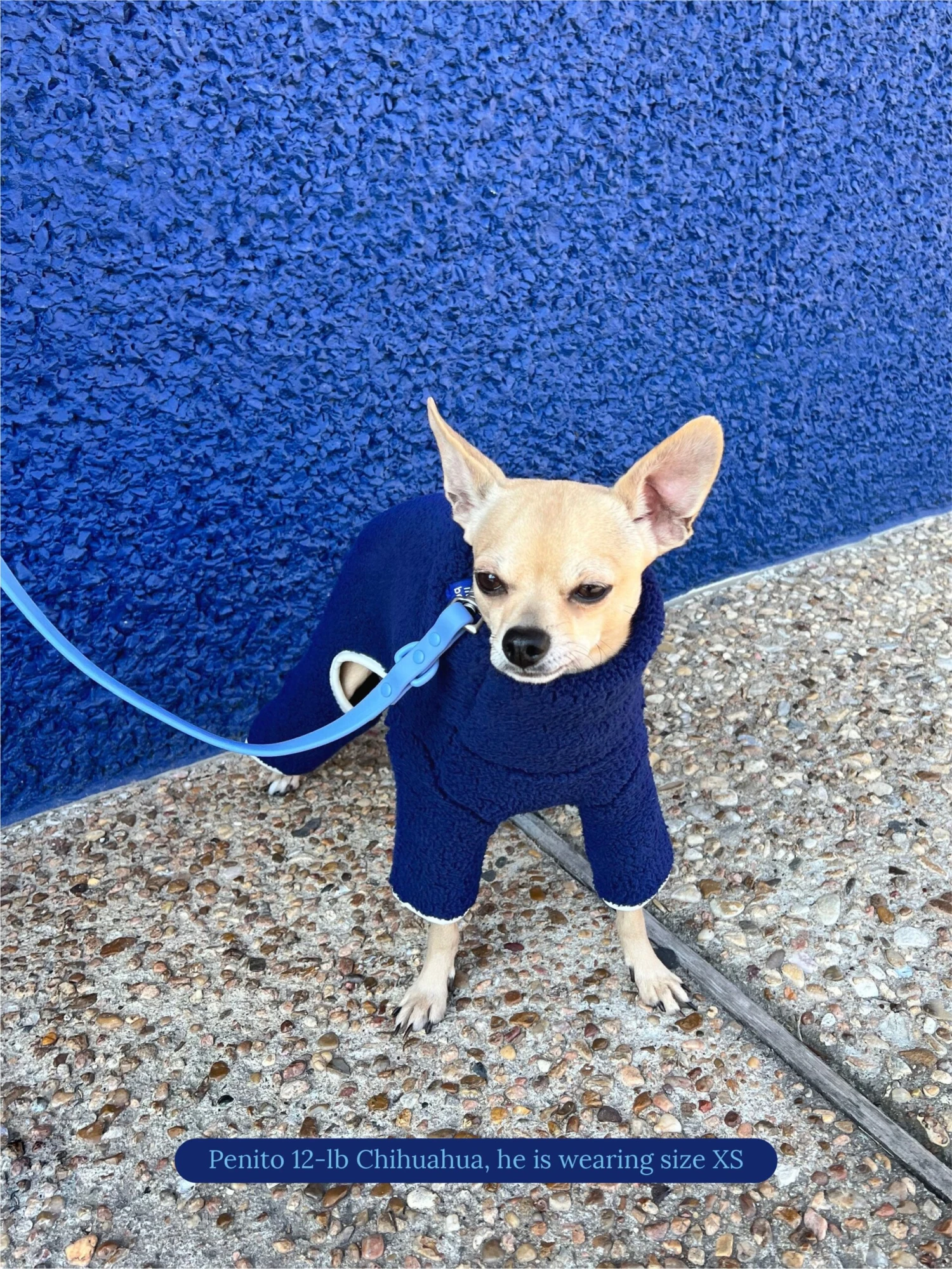 Royal Fleece Onesie 6 Royal Fleece Onesie - Image 4