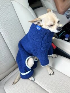 Royal Fleece Onesie 13 Royal Fleece Onesie -Pet Shop little beast royal fleece onesie dog onesie 43406753562910