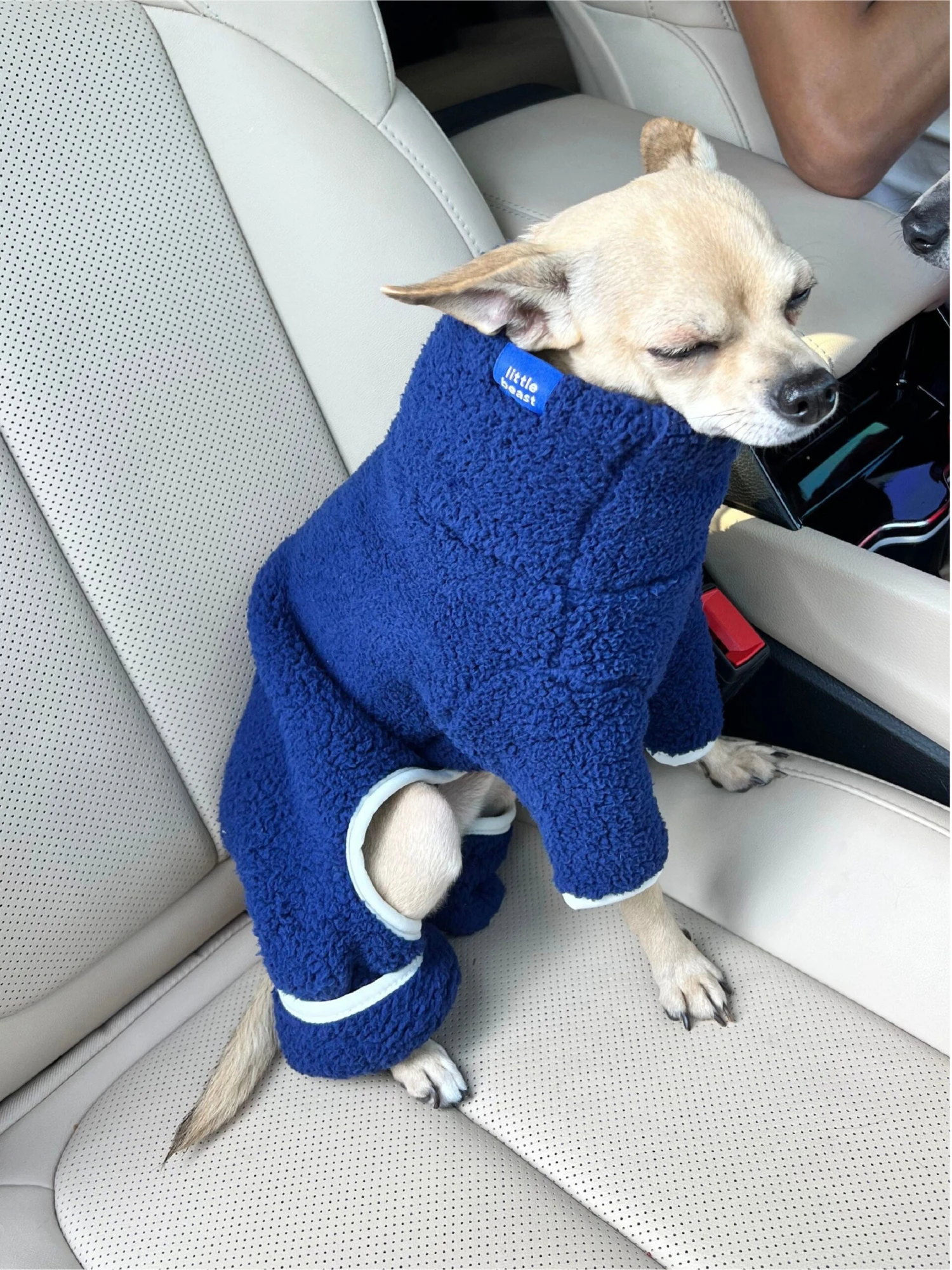 Royal Fleece Onesie 8 Royal Fleece Onesie - Image 6