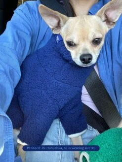 Royal Fleece Onesie 12 Royal Fleece Onesie -Pet Shop little beast royal fleece onesie dog onesie 43406753661214