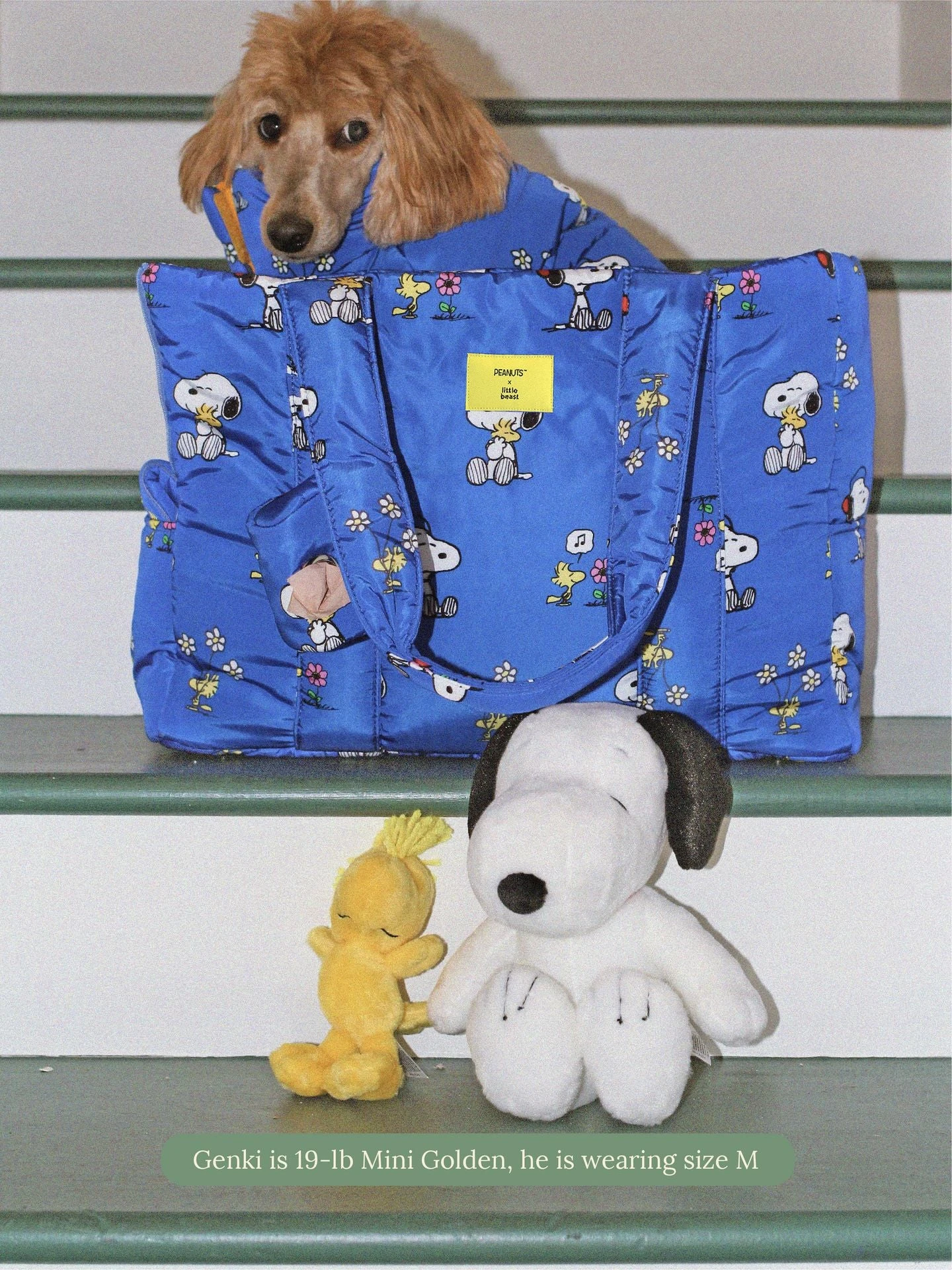 Snoopy And Woodstock Puffer Carrier - PEANUTS 6 Snoopy And Woodstock Puffer Carrier - PEANUTS - Image 4