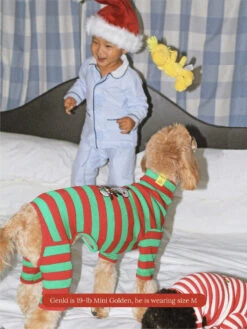 Snoopy Lights Stripe Onesie - PEANUTS -Pet Shop little beast snoopy lights stripe onesie peanuts dog stripe onesie 1132583310