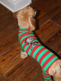 Snoopy Lights Stripe Onesie - PEANUTS -Pet Shop little beast snoopy lights stripe onesie peanuts dog stripe onesie 1132583311