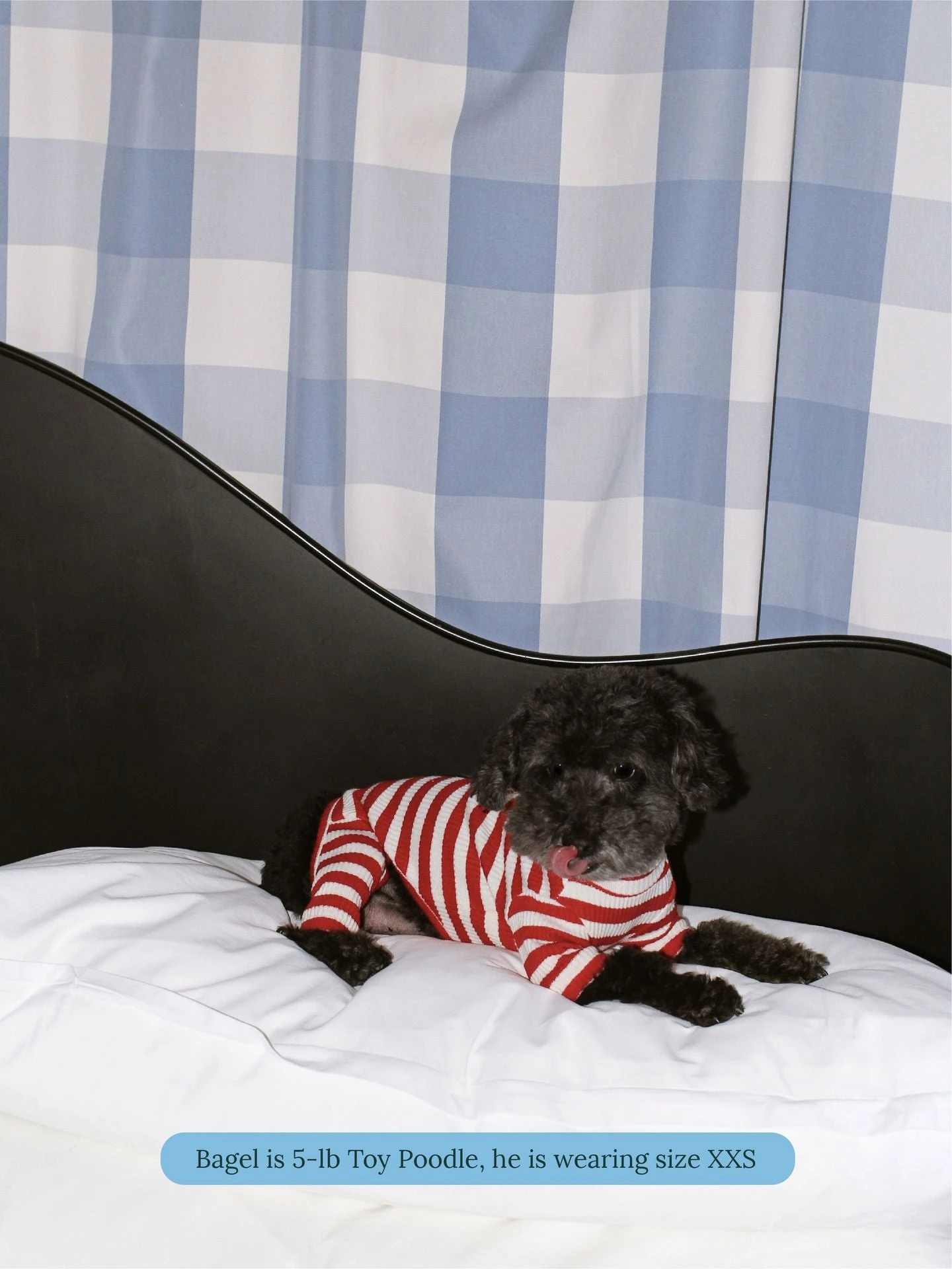 Snoopy & Woodstock Stripe Onesie - PEANUTS 7 Snoopy & Woodstock Stripe Onesie - PEANUTS - Image 5