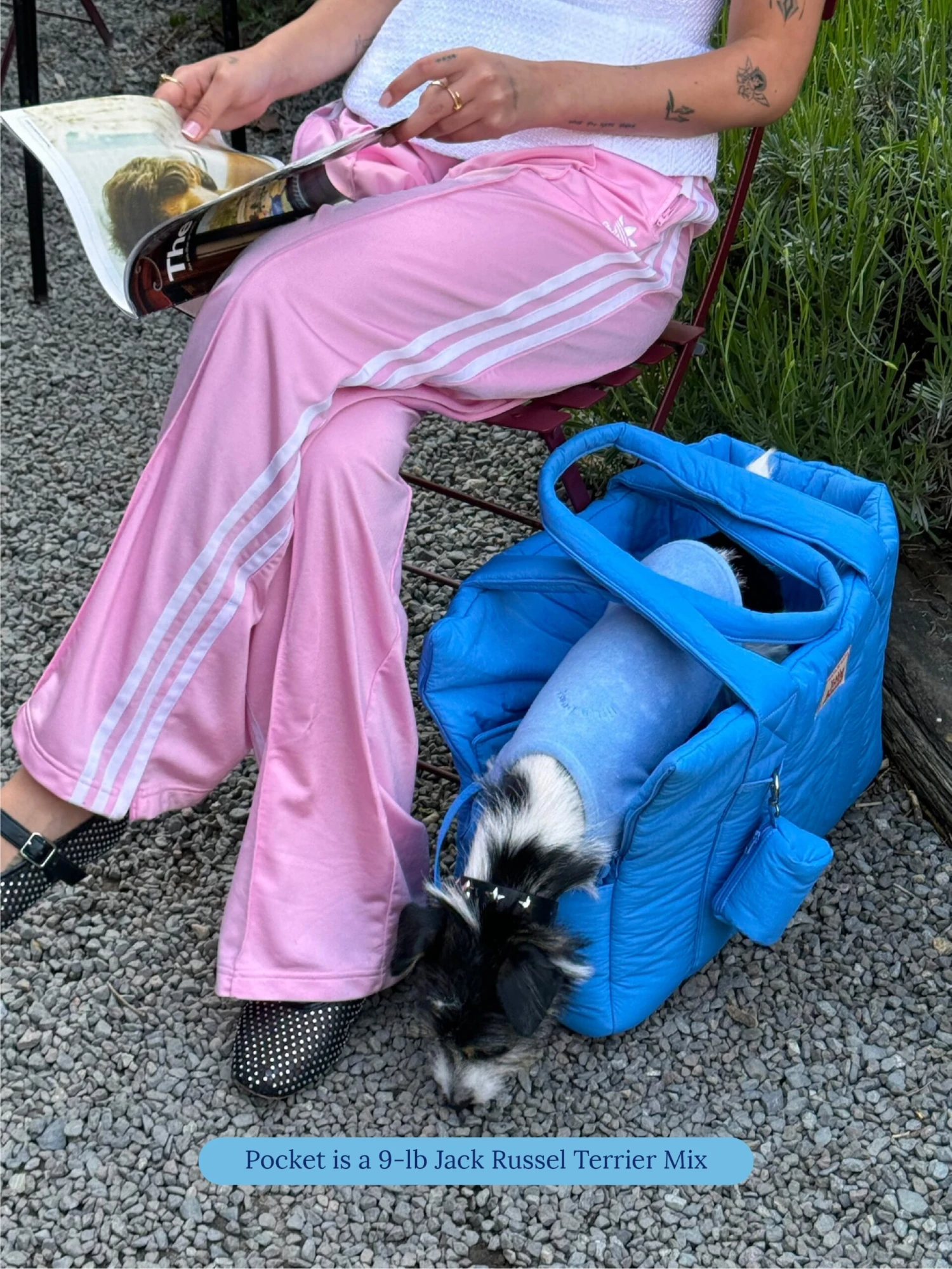 The Little Beast Carrier - Baby 12 The Little Beast Carrier - Baby - Image 10