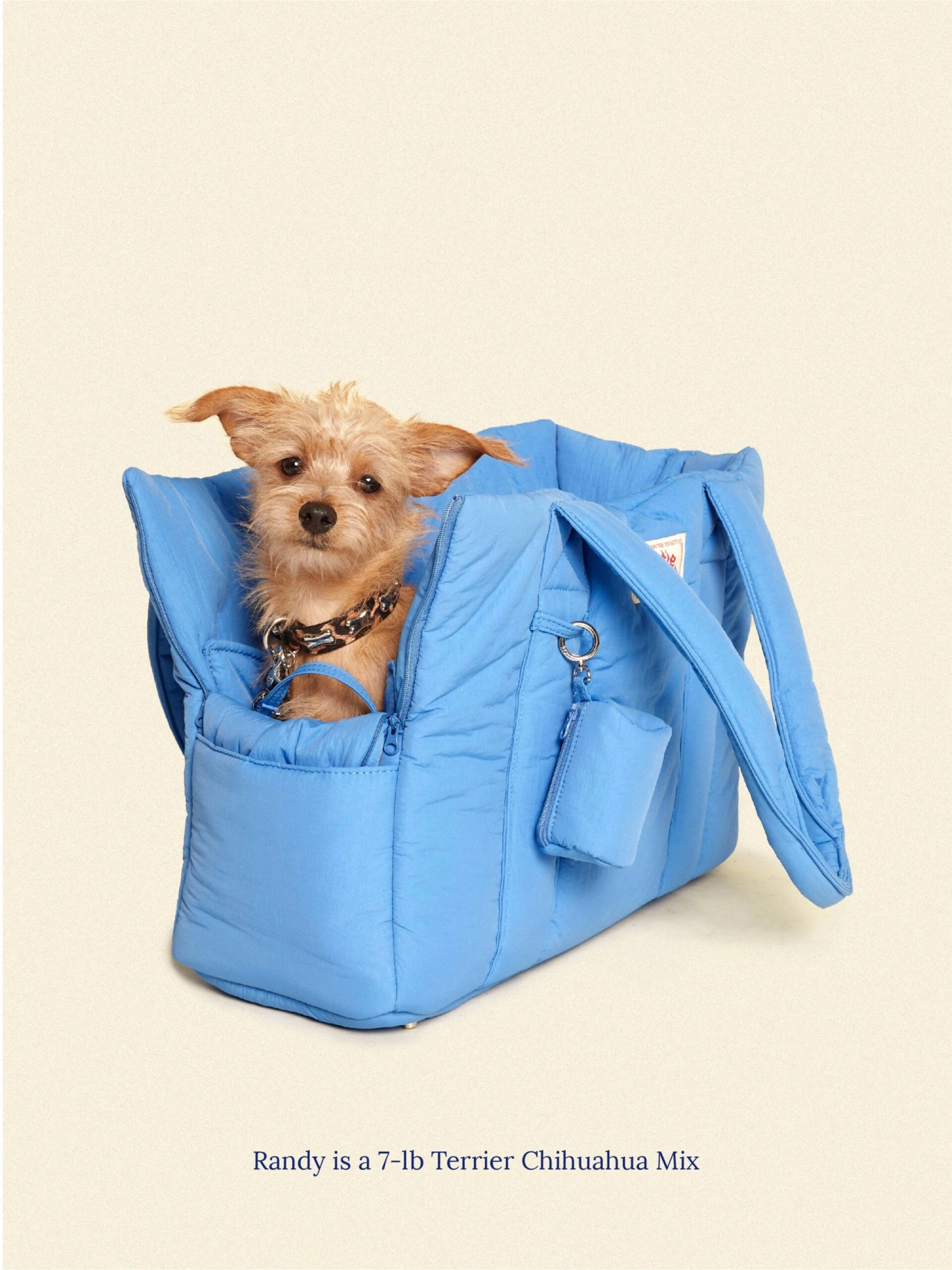 The Little Beast Carrier - Baby 5 The Little Beast Carrier - Baby - Image 3