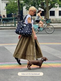 The Little Beast Carrier - Betty -Pet Shop little beast the little beast carrier betty dog carrier 1174779165