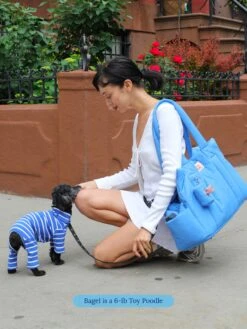 The Little Beast Carrier - Baby 21 The Little Beast Carrier - Baby -Pet Shop little beast the little beast carrier blue dog carrier 46246881526046