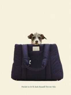 Pet Shop -Pet Shop little beast the little beast carrier purple haze dog carrier 1147473816