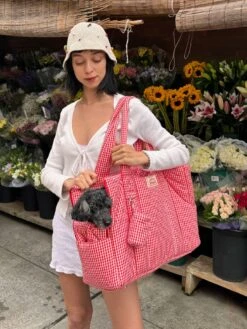 Pet Shop -Pet Shop little beast the little beast carrier strawberry dog carrier 46246893322526