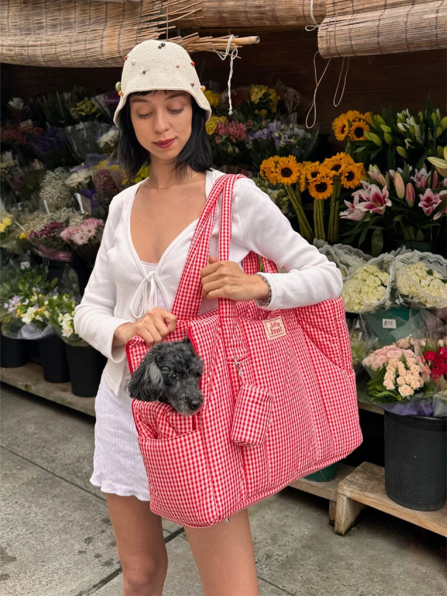 The Little Beast Carrier - Strawberry 4 The Little Beast Carrier - Strawberry - Image 2