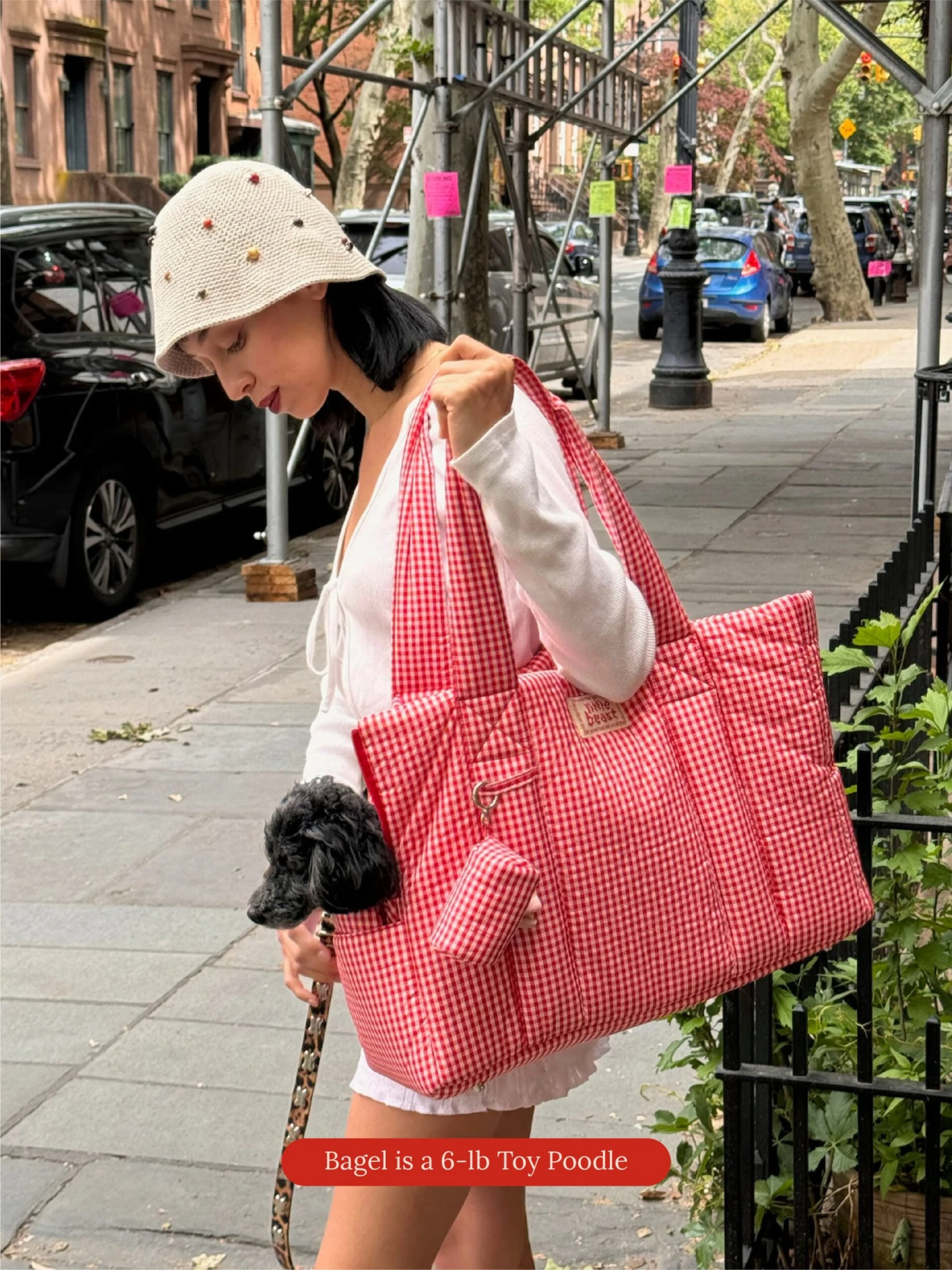 The Little Beast Carrier - Strawberry 5 The Little Beast Carrier - Strawberry - Image 3