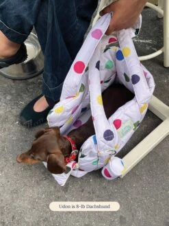 The Little Beast Mini Carrier - Damien 17 The Little Beast Mini Carrier - Damien -Pet Shop little beast the little beast mini carrier damien dog carrier 1174779164