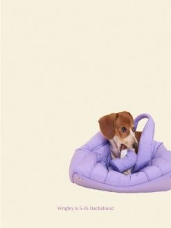 The Little Beast Mini Carrier - Ube -Pet Shop little beast the little beast mini carrier ube dog carrier 1147473820