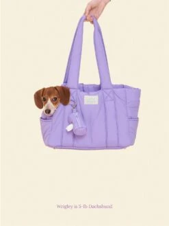 Pet Shop -Pet Shop little beast the little beast mini carrier ube dog carrier 1147473821