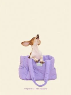 The Little Beast Mini Carrier - Ube -Pet Shop little beast the little beast mini carrier ube dog carrier 1147473822