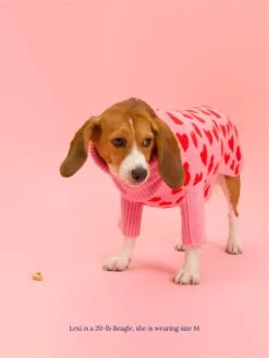 The Love Sweater -Pet Shop little beast the love sweater dog sweater 29119486689368