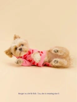 The Love Sweater -Pet Shop little beast the love sweater dog sweater 29119486722136