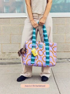 The Piscine Carrier - Dusen Dusen -Pet Shop little beast the piscine carrier dusen dusen dog carrier 47732932116766