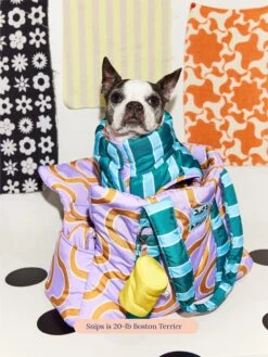 The Piscine Carrier - Dusen Dusen -Pet Shop little beast the piscine carrier dusen dusen dog carrier 47732932149534