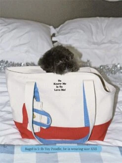 To Love Me Tote Bag - PEANUTS -Pet Shop little beast to love me tote bag dog carrier 59676480667934