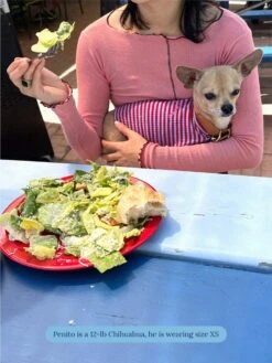 BFF Sleeveless Shirt -Pet Shop littlebeastus bff tank top dog tank top 41357287227678