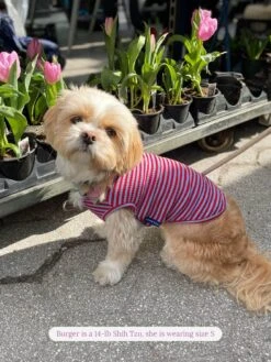 BFF Sleeveless Shirt -Pet Shop littlebeastus bff tank top dog tank top 41820327084318